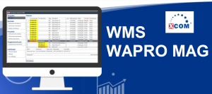 WMS WAPRO MAG Standard / 1 miesiąc
