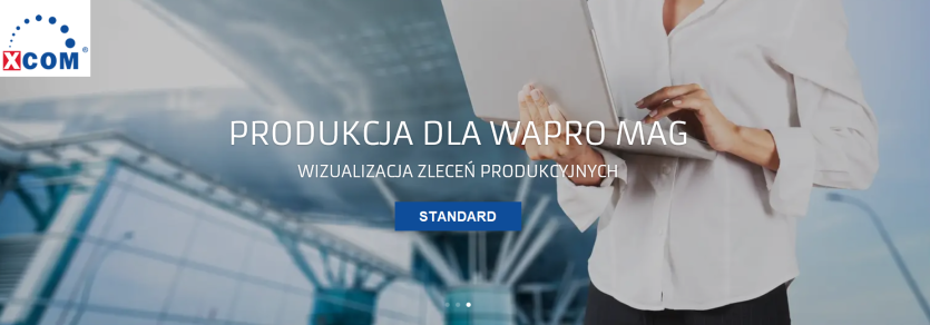 PRODUKCJA WMS DLA WAPRO MAG Standard / 1 miesiąc