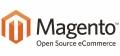 Synchronizator z Magento (dodatek do programu Magazyn DGCS System)